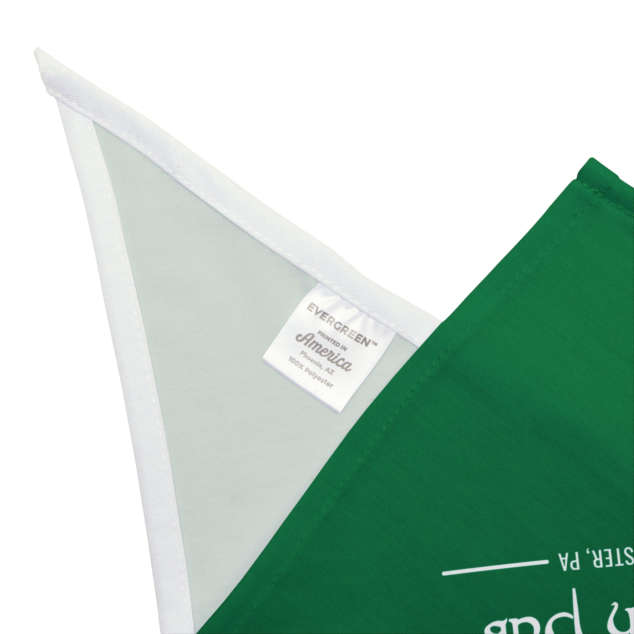 Brendees Irish Pub Green Pet Bandana